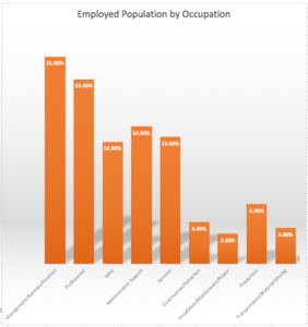 Employed Population by Occupation