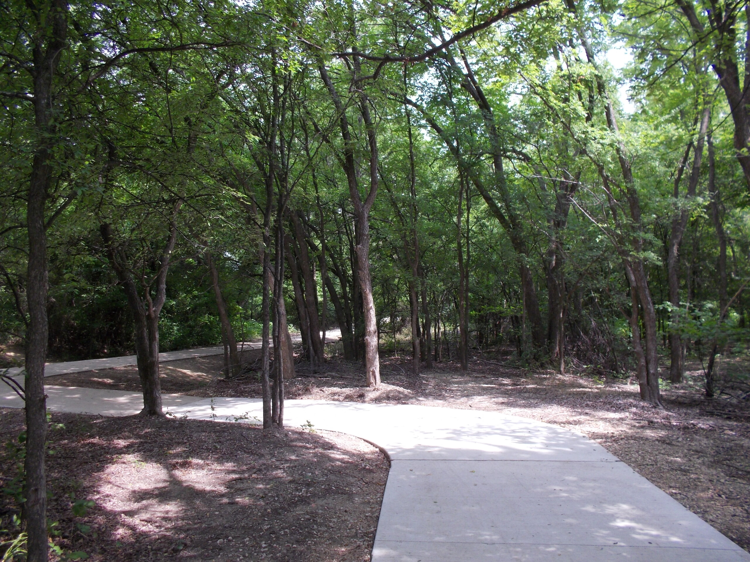 Sidewalk with trees around it